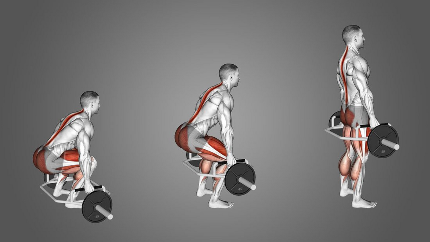 Kettlebell Swings vs Deadlifts: Ratio, Benefits & Muscles Worked