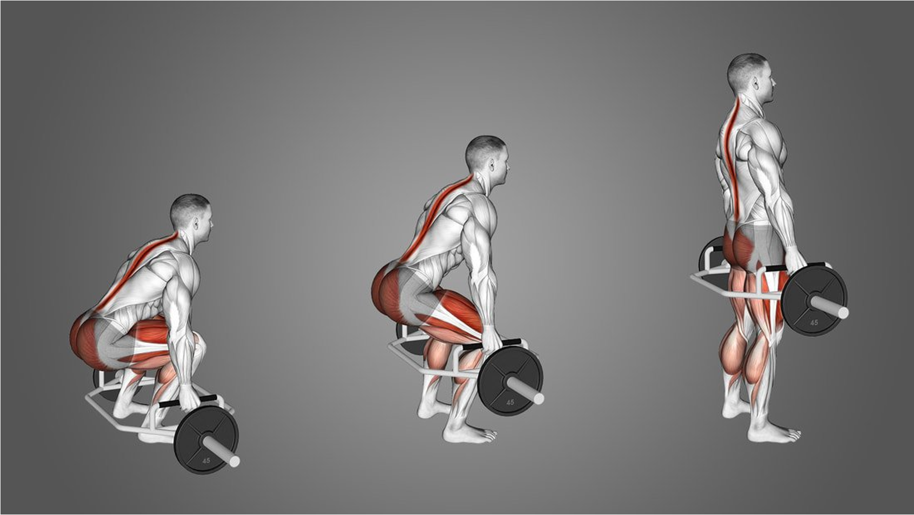 Kettlebell Swings vs Deadlifts: Ratio, Benefits & Muscles Worked