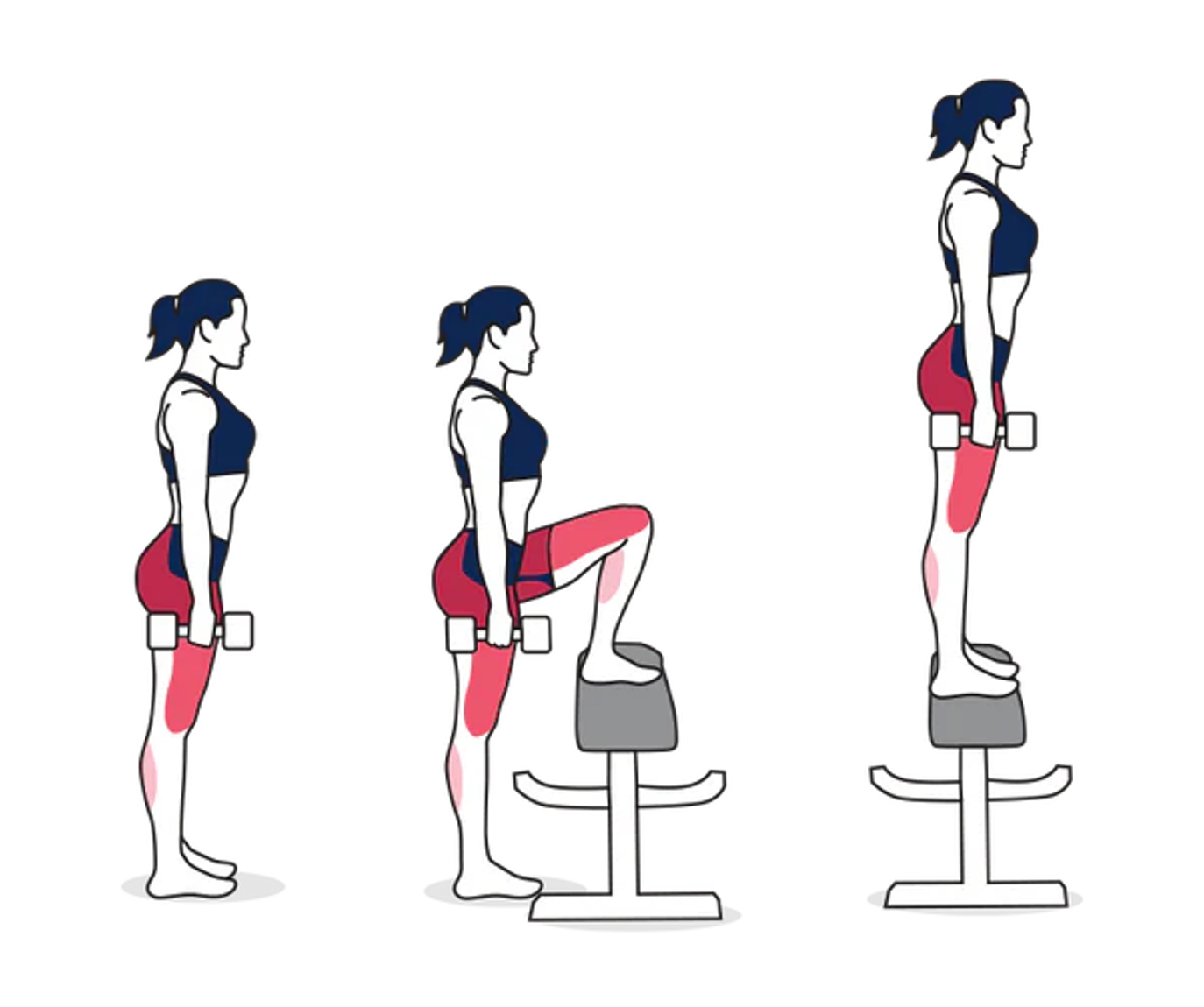 Step Ups vs Hip Thrusts: Benefits & Muscles Worked