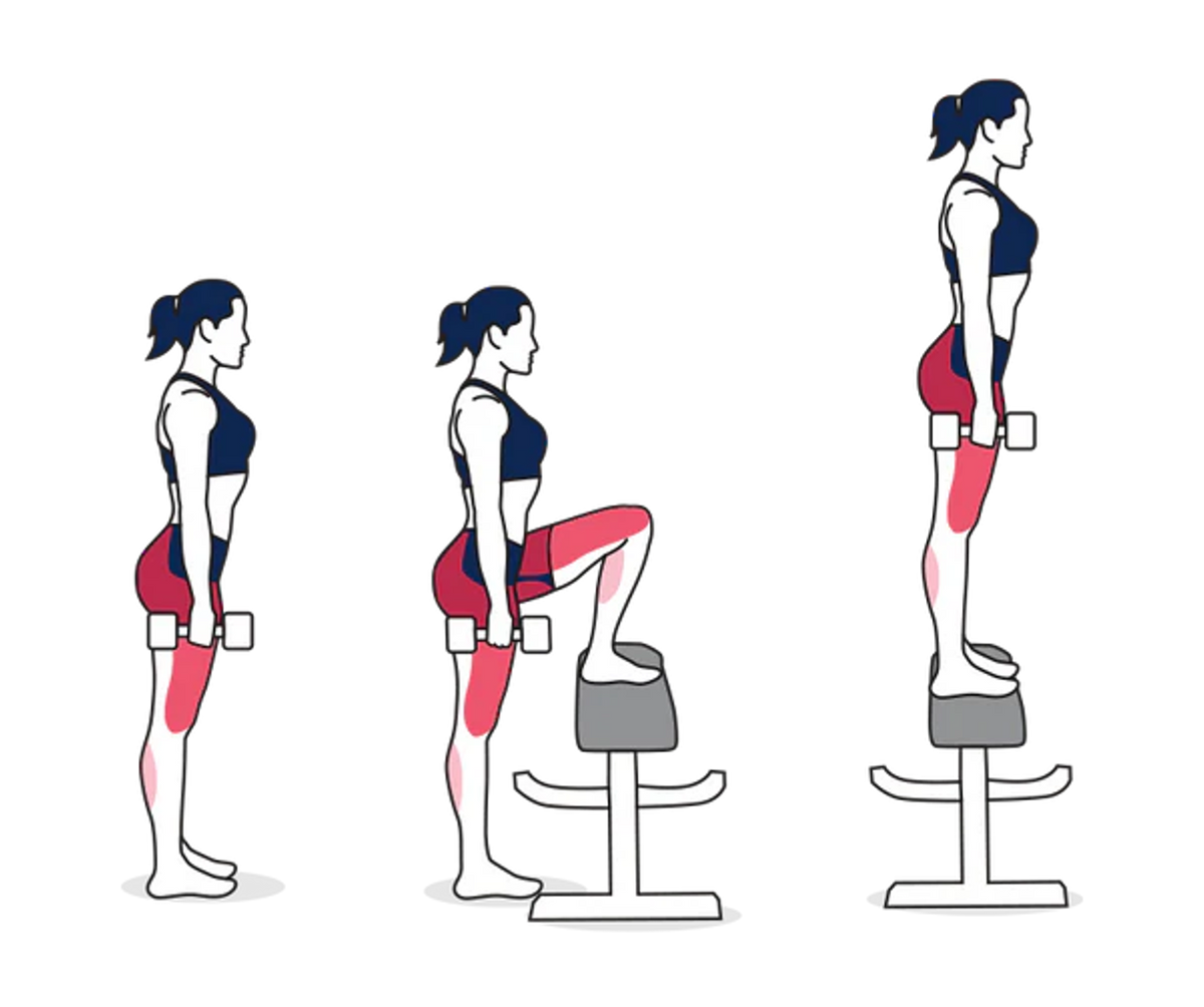 Step Ups vs Hip Thrusts: Muscles Worked & Benefits