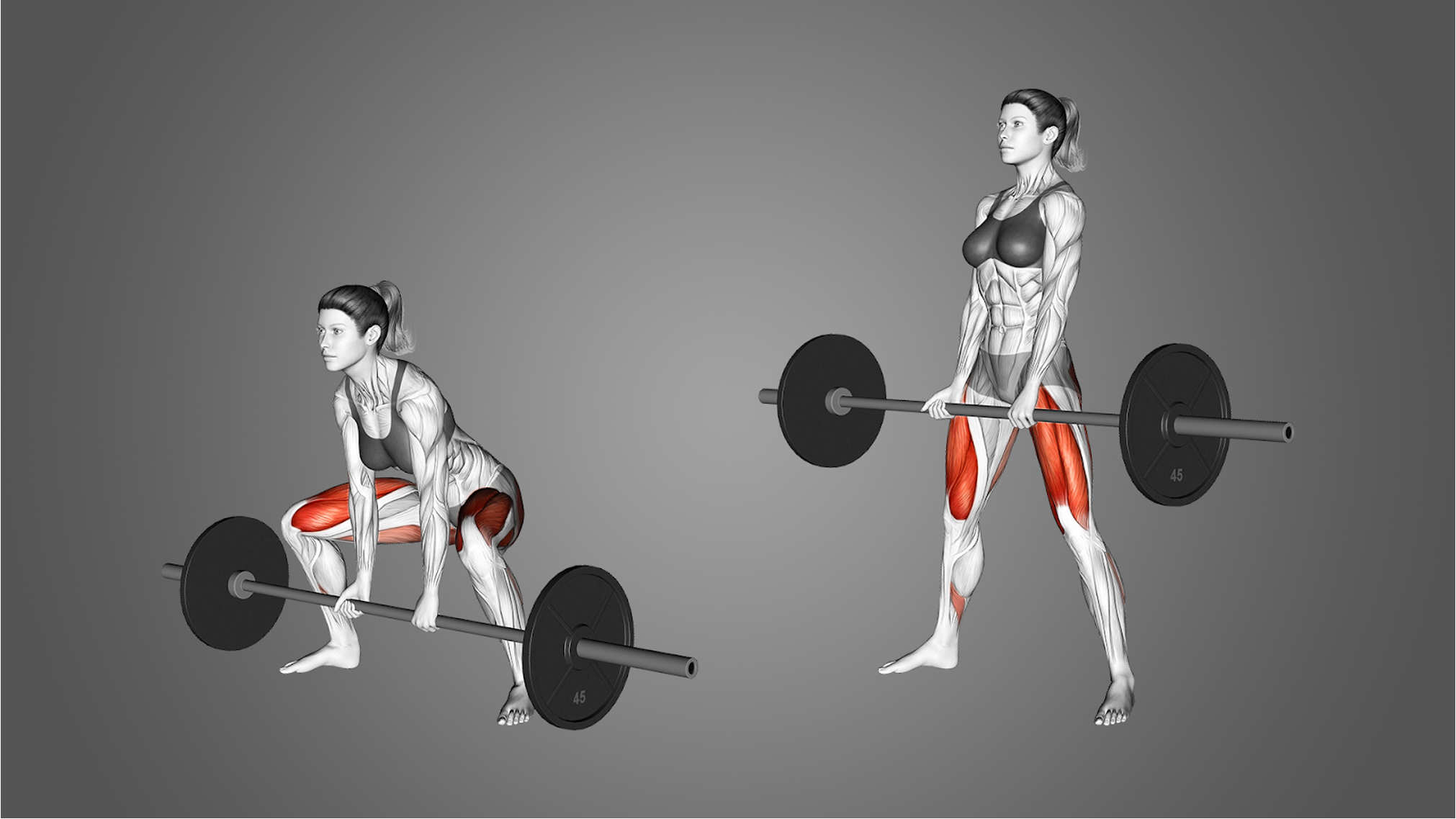 Sumo Deadlift vs Regular Deadlift: Which Is Harder & What Muscles Do They Work?
