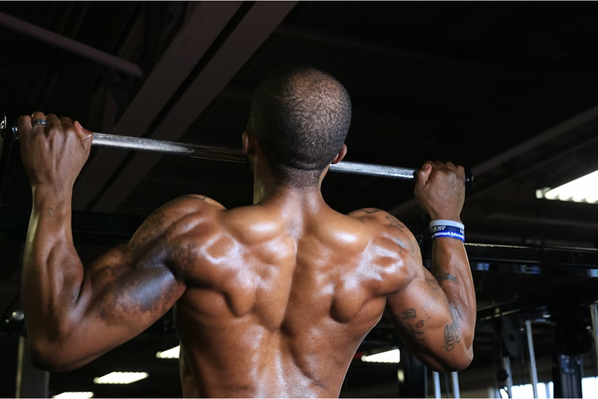 Bro Split vs Arnold Split: Which is Better for Muscle Growth?