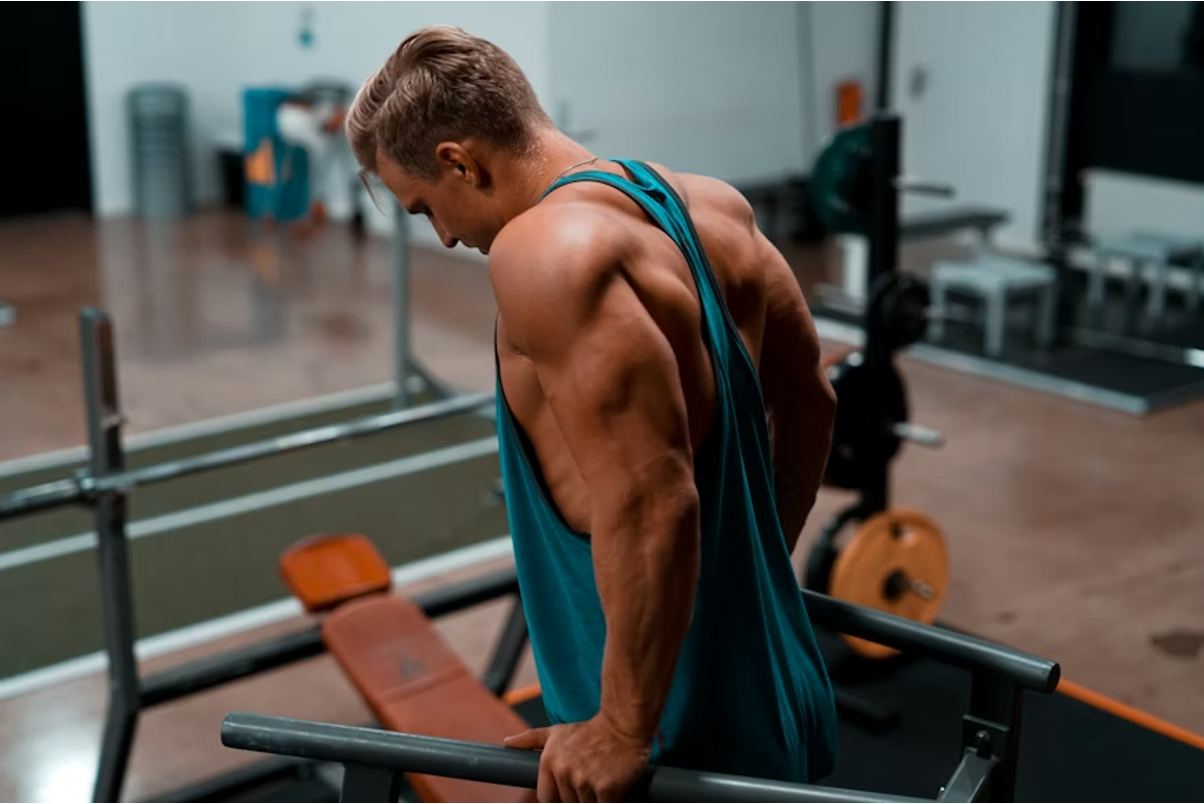 Dips vs Tricep Extension: Differences, Benefits & Muscles Worked