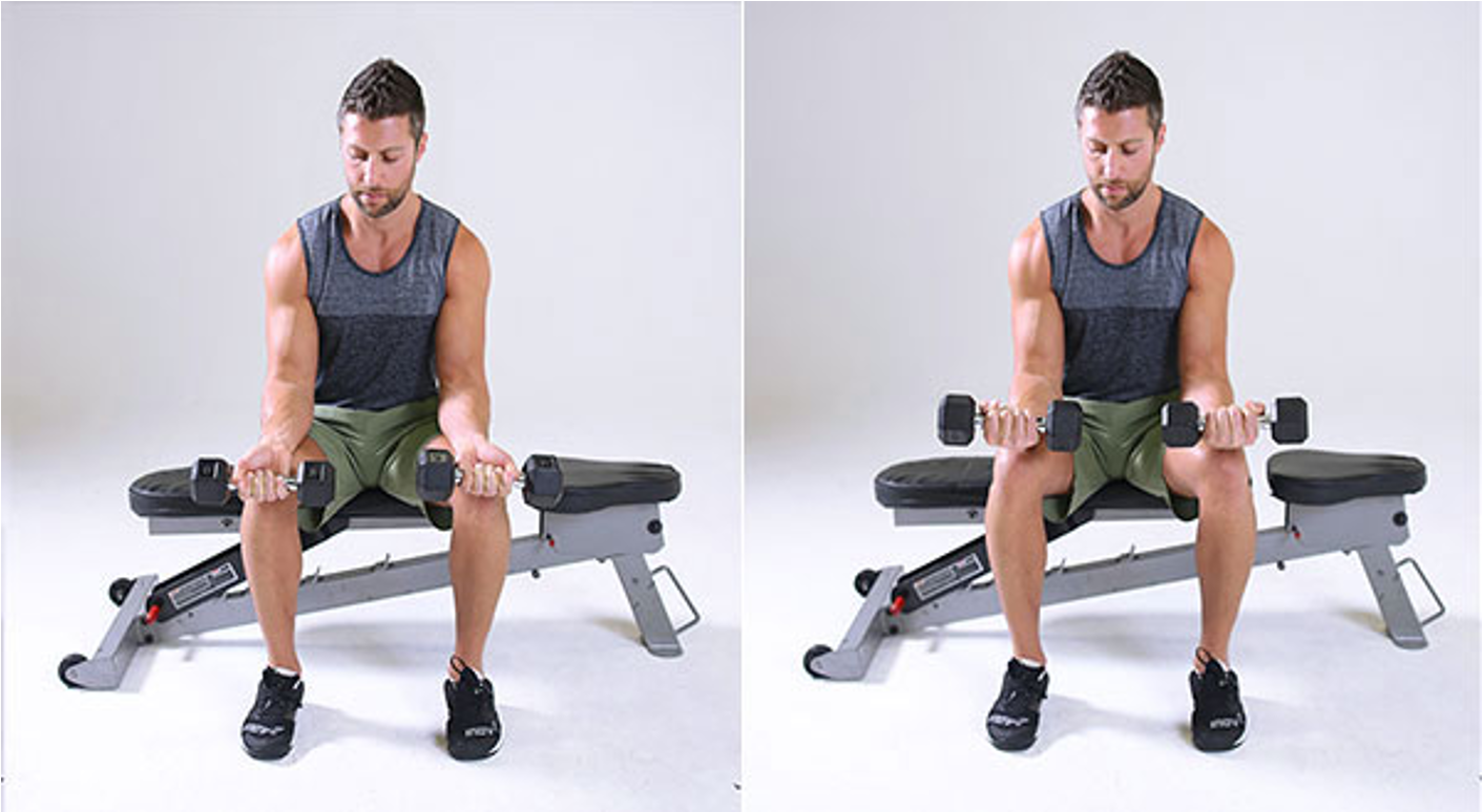 3 Best Dumbbell Exercises for Forearms at Home