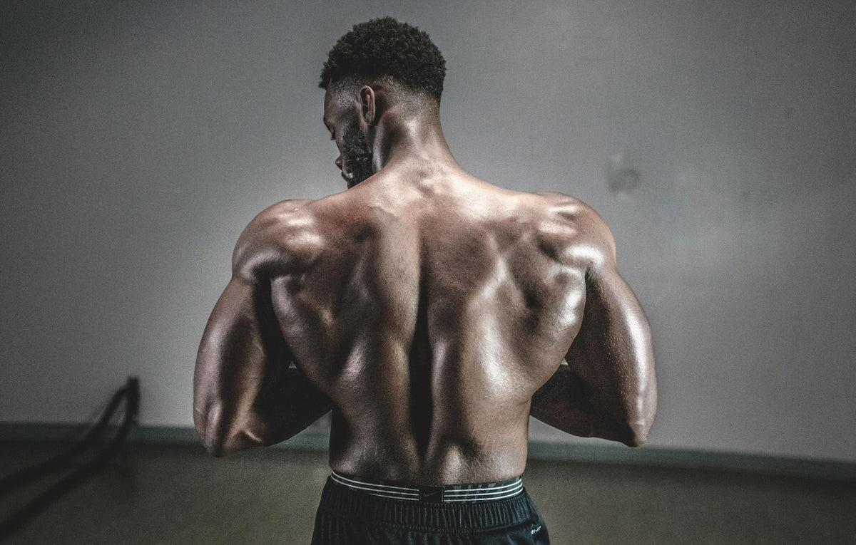 Rowing Machine or StairMaster: Which Machine Builds Muscle Faster