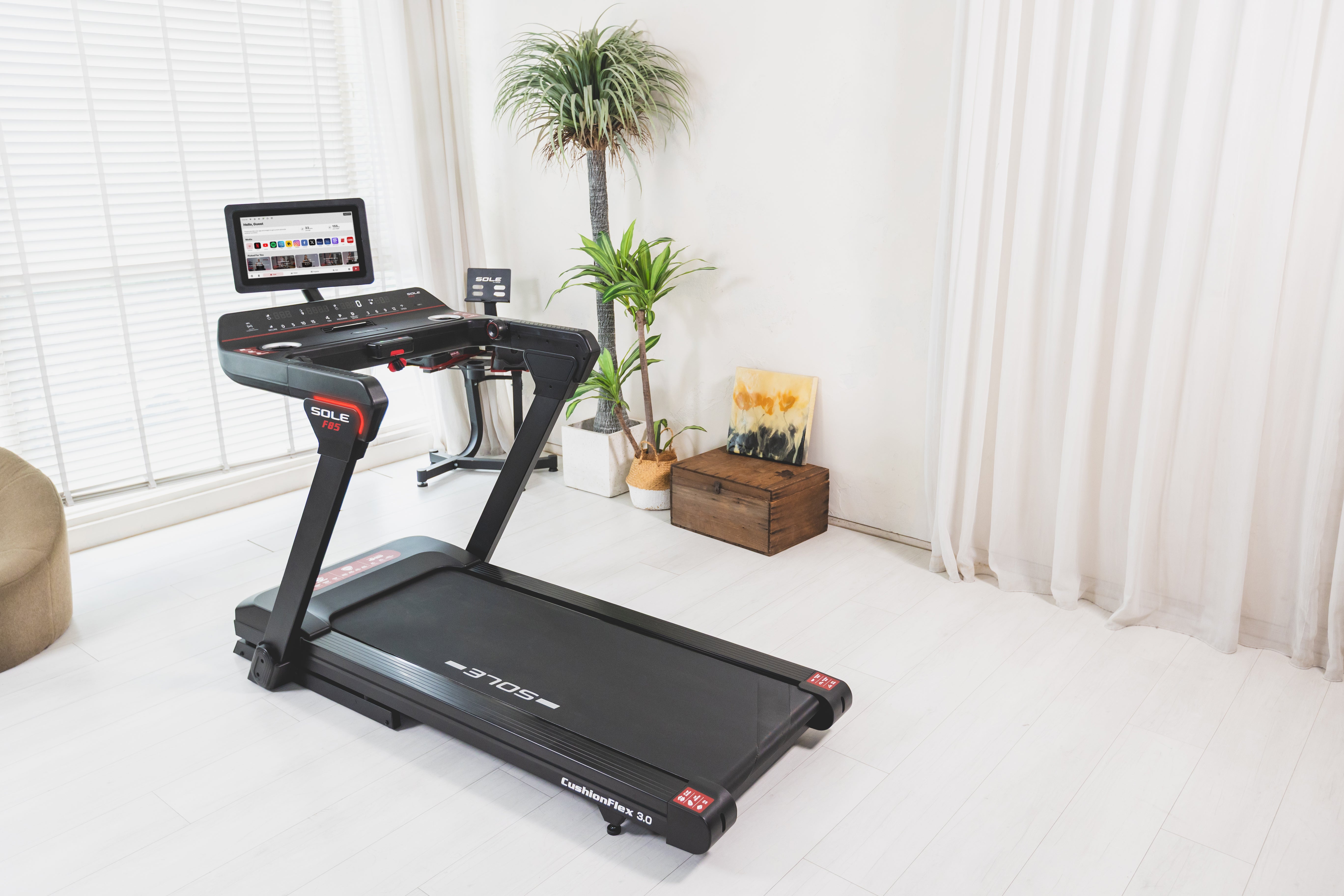 SOLE F85 Treadmill