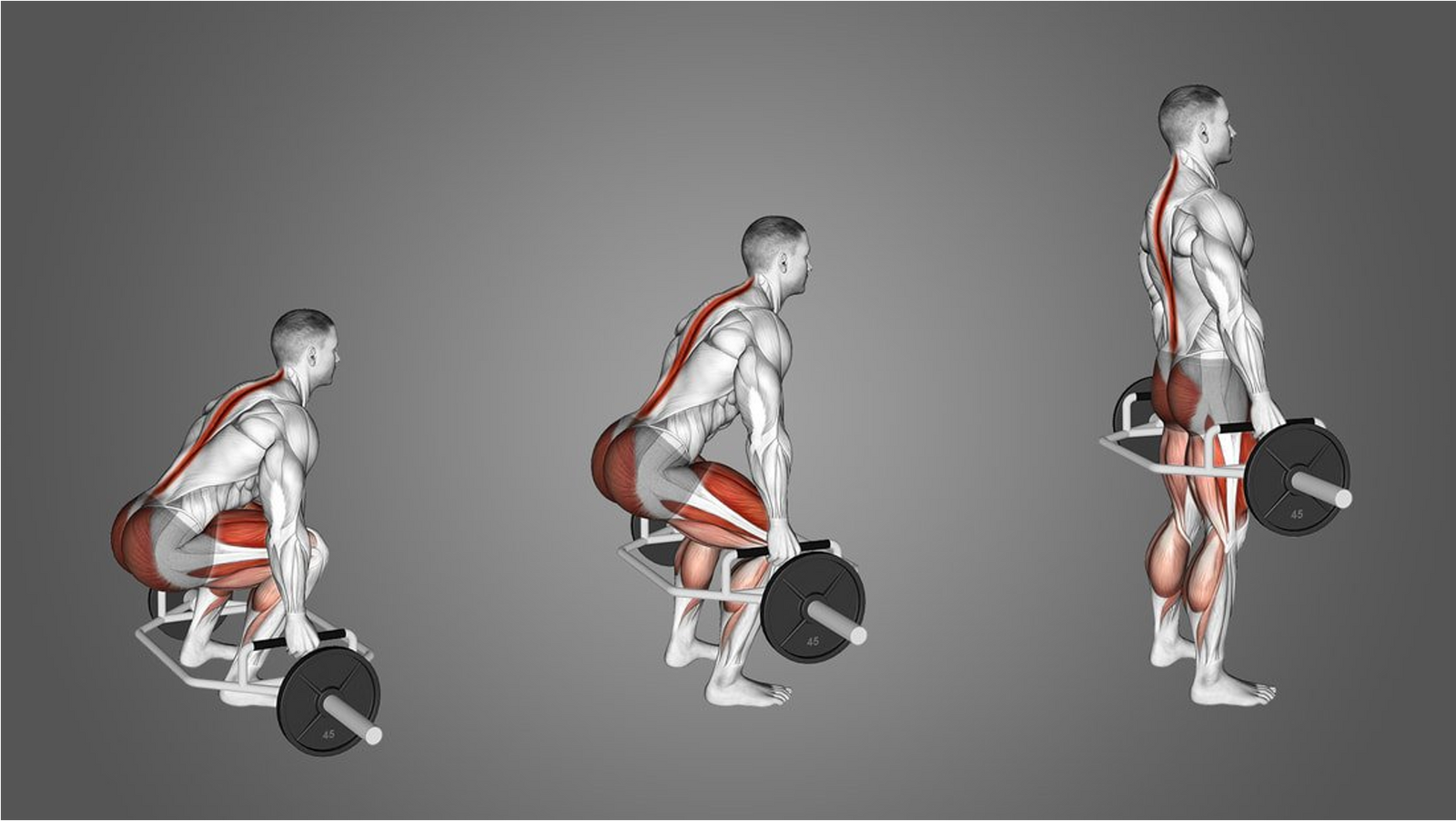 Kettlebell Swings vs Deadlifts: Ratio, Benefits & Muscles Worked