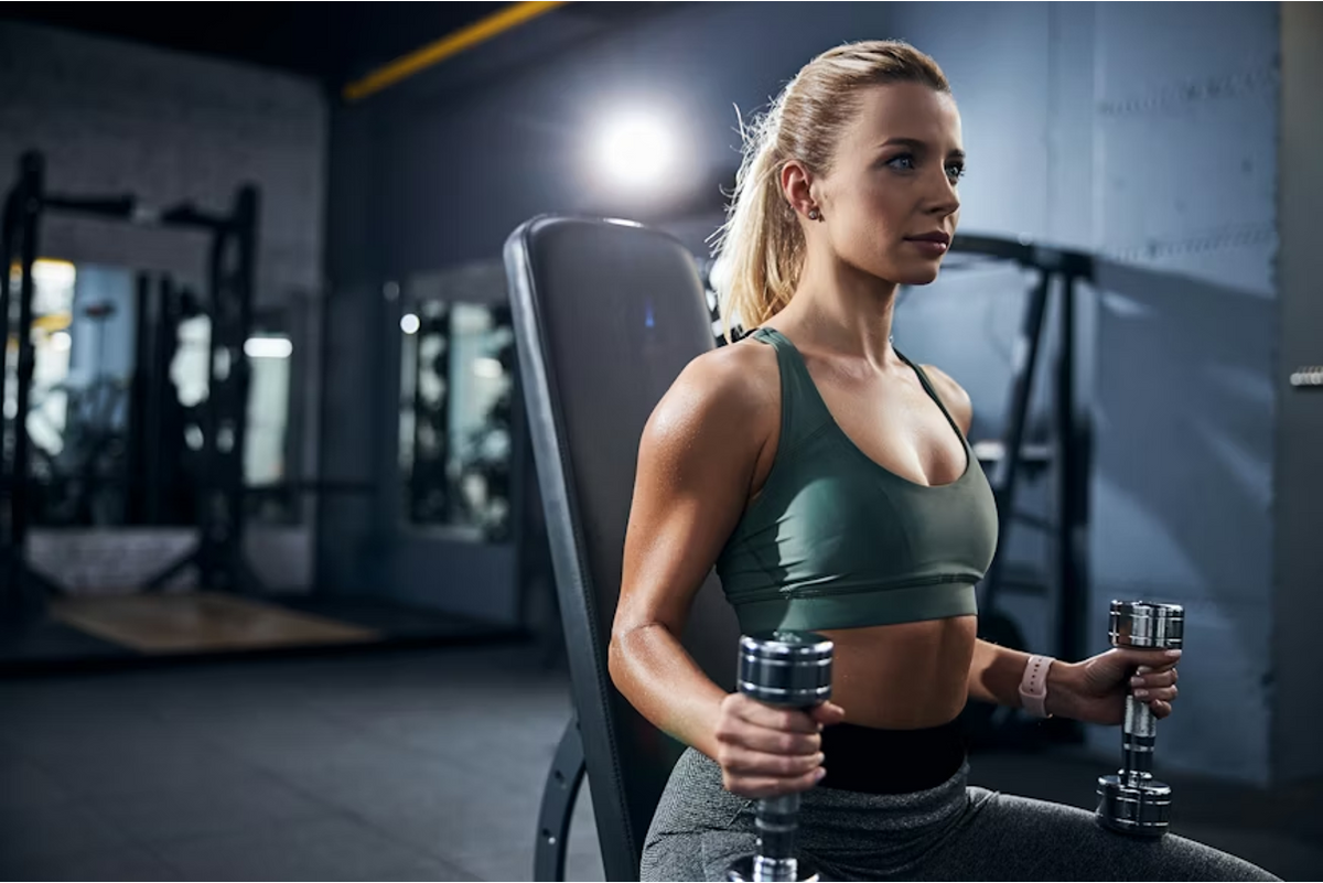 Bro Split Dumbbell Only Workout Routine