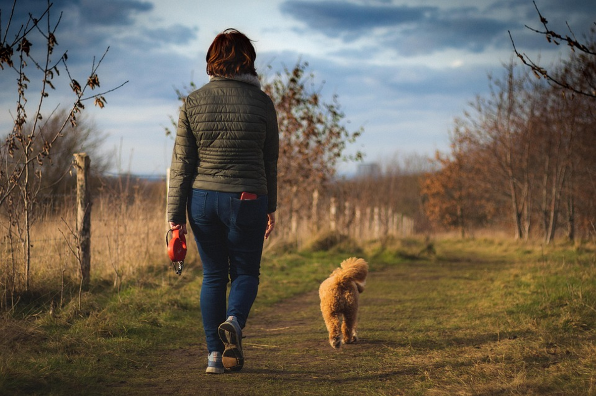 10k Steps to Miles: Distance & Time Calculator
