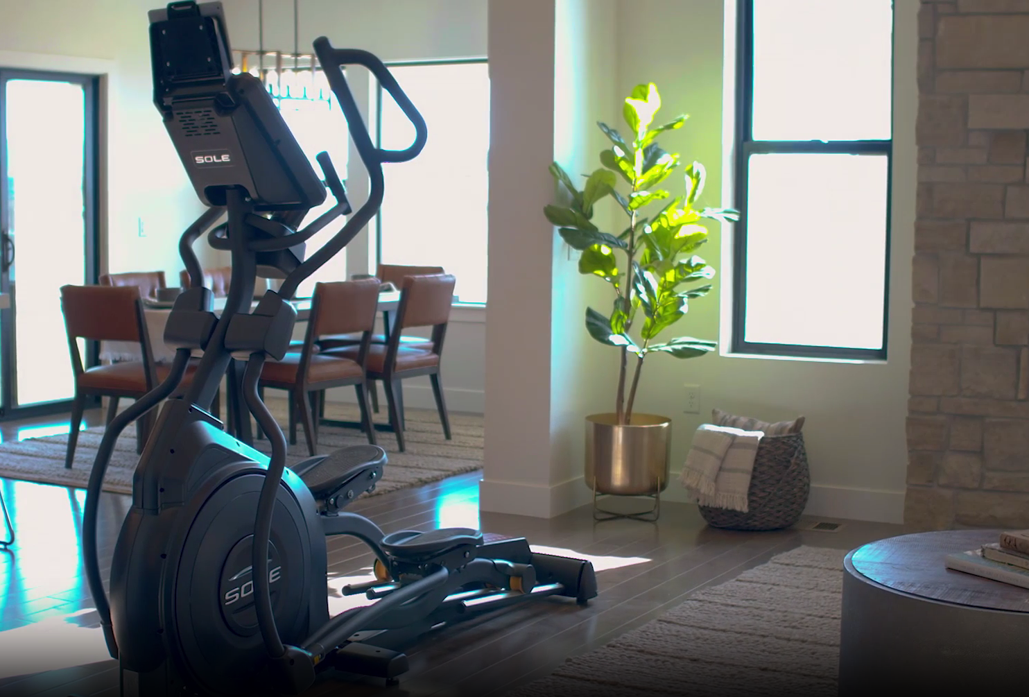 SOLE E35 vs. Bowflex Max Trainer M6: A Detailed Elliptical Comparison