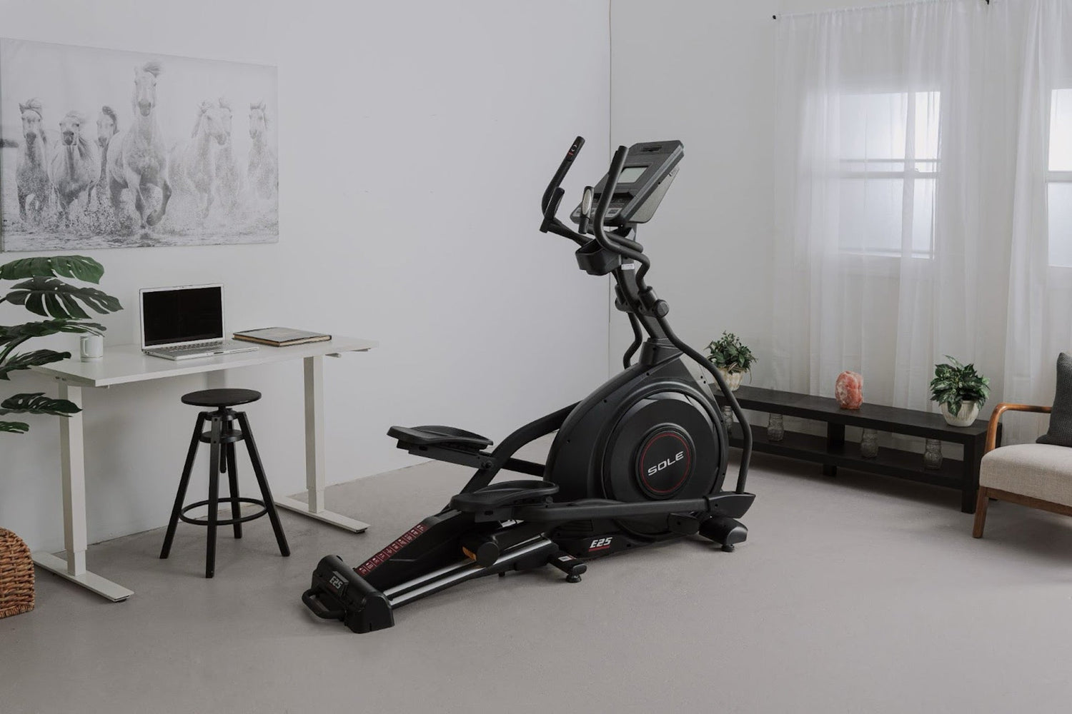 SOLE E25 vs BowFlex Max Trainer M6 Elliptical Comparison 2025 | Features, Pros & Cons