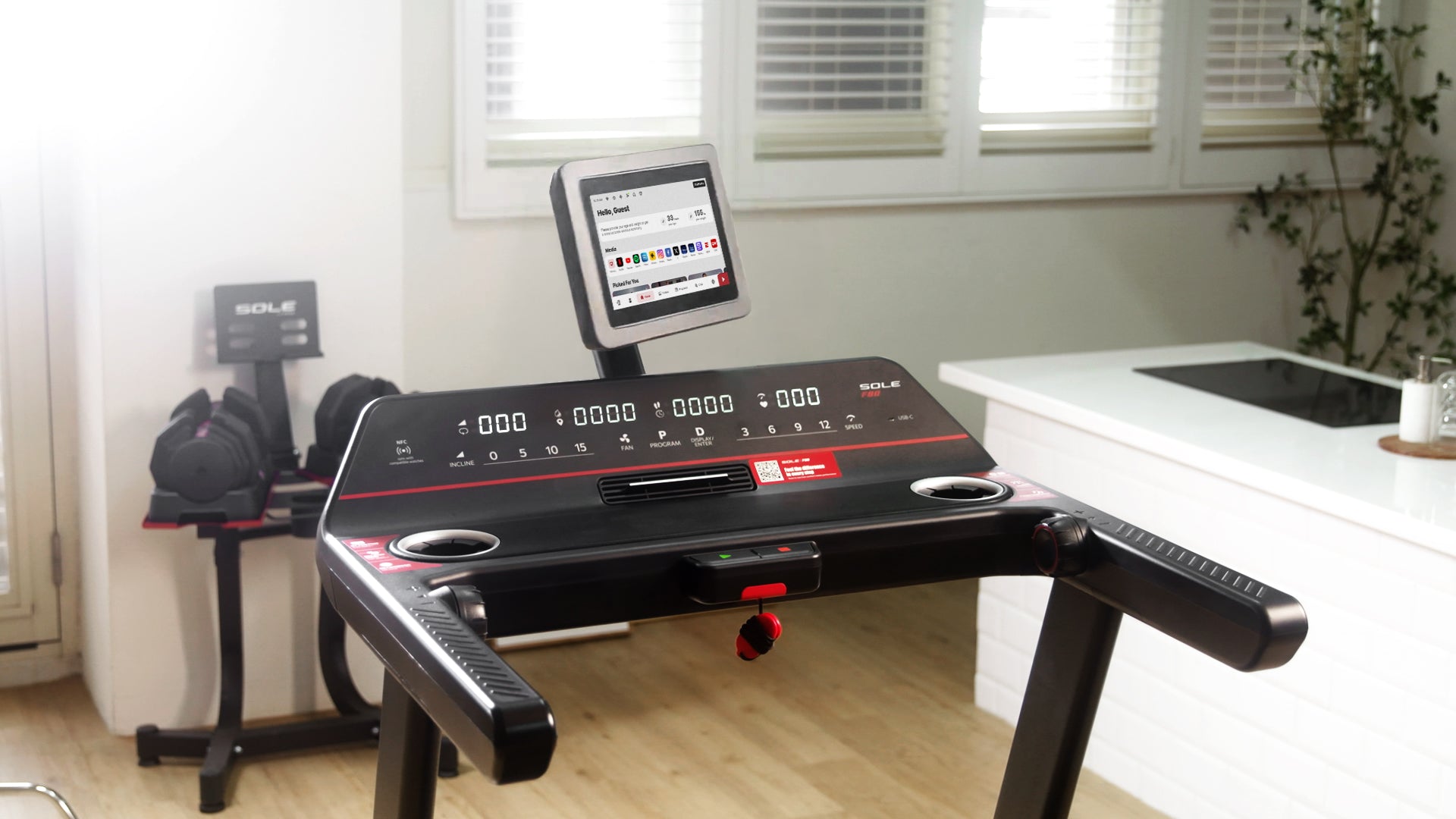 SOLE F80 Treadmill